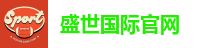 盛世国际
